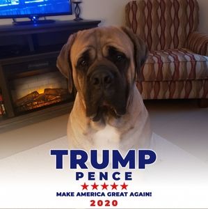 Meet your Posher, Hope